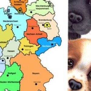 deutschland-mit-hund-a1fe4